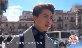 马天宇李治廷最新爆料,揭秘娱乐圈幕后真相