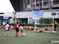 足球爆料今天最新消息,最新爆料揭示今日足坛热点动态