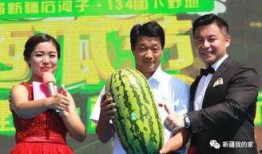 新疆最新瓜爆料,最新品种惊艳亮相！