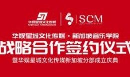 星城公司最新爆料,揭秘行业变革背后的秘密