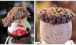 90花的最新动态爆料,揭秘明星们的最新动向与幕后故事