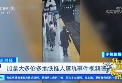 最新的新闻事件爆料视频,最新新闻事件震撼揭秘