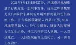 丹东凤城爆料案件最新,揭秘背后惊人真相