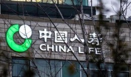 中国人寿员工最新爆料,揭秘保险行业内幕
