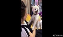 马蓉最新爆料爆笑视频,揭秘娱乐圈夫妻大战幕后真相