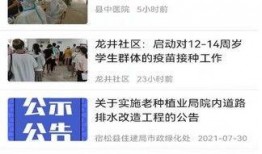 宿松新闻爆料最新,突发！最新事件引发关注，详情即将揭晓