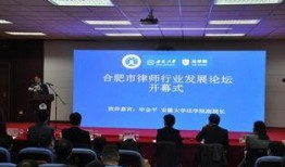 合肥律师爆料案件最新,真相背后惊心动魄！