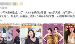 大s最新爆料店,娱乐圈背后的惊人真相