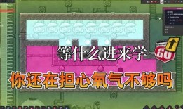 三角洲内容最新爆料暑期,揭秘神秘三角洲暑期大事件