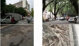 潮州城市爆料事件最新消息,最新进展及影响揭秘