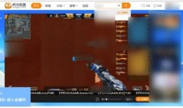 皇族最新爆料新闻直播回放,直播回放揭示惊人内幕