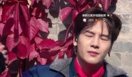 王嘉尔最新爆料微博号,揭秘幕后故事！”