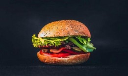 汉堡爆料视频大全集最新,揭秘幕后真相，带你走进神秘世界